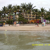 фото из отзыва ID 291088