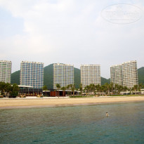 фото из отзыва ID 291122