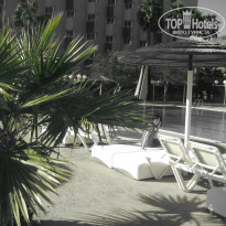 фото из отзыва ID 291370