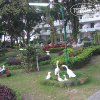 фото из отзыва ID 291516