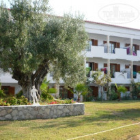 фото из отзыва ID 291803