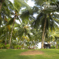 фото из отзыва ID 291830