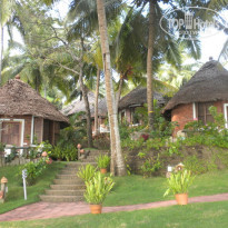 фото из отзыва ID 291830