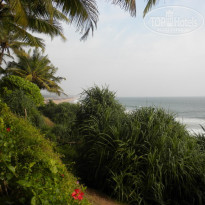 фото из отзыва ID 291830