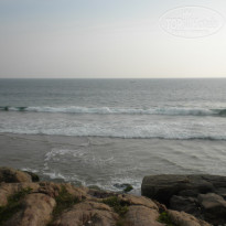 фото из отзыва ID 291830