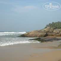 фото из отзыва ID 291830