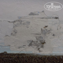 фото из отзыва ID 291922