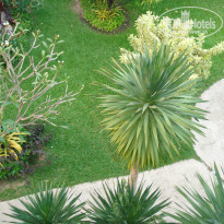 фото из отзыва ID 292173