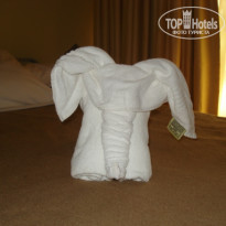 фото из отзыва ID 292177