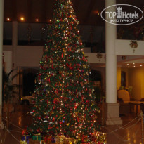 фото из отзыва ID 292177