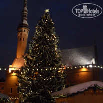 фото из отзыва ID 292313