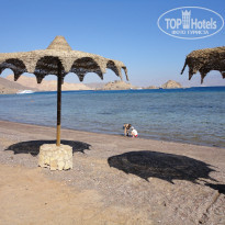 фото из отзыва ID 292447