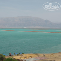 фото из отзыва ID 292612