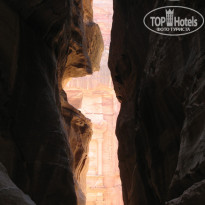 фото из отзыва ID 292612