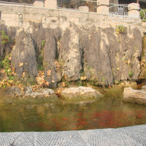 фото из отзыва ID 292911