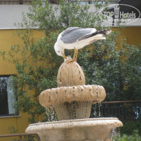 фото из отзыва ID 293213