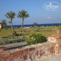 фото из отзыва ID 293218