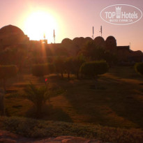 фото из отзыва ID 293218