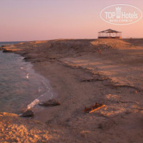 фото из отзыва ID 293218