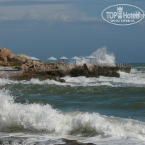 фото из отзыва ID 293260