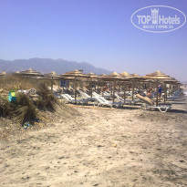 фото из отзыва ID 293464