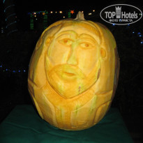 фото из отзыва ID 293525