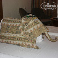 фото из отзыва ID 293648