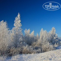 фото из отзыва ID 293993