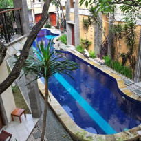 фото из отзыва ID 294221