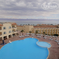 фото из отзыва ID 294311