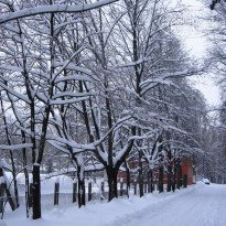 фото из отзыва ID 294846