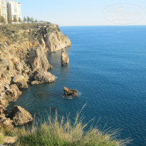 фото из отзыва ID 294856