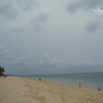 фото из отзыва ID 294944