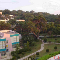 фото из отзыва ID 29575