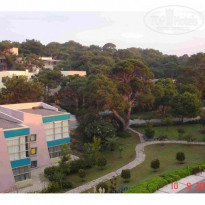 фото из отзыва ID 29574