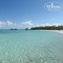 фото из отзыва ID 295055