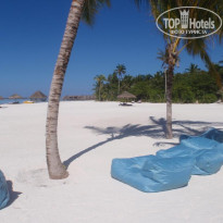 фото из отзыва ID 295055