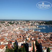 фото из отзыва ID 295225