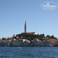 фото из отзыва ID 295225