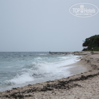 фото из отзыва ID 295225