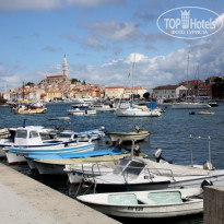 фото из отзыва ID 295225