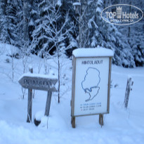 фото из отзыва ID 295277