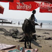 фото из отзыва ID 295306