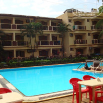 фото из отзыва ID 295465