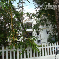 фото из отзыва ID 295470