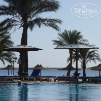 фото из отзыва ID 295580