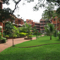 фото из отзыва ID 295629