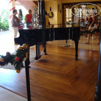 фото из отзыва ID 295694