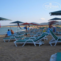 фото из отзыва ID 295593