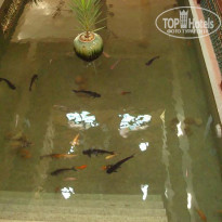 фото из отзыва ID 295717